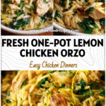 A bowl of lemon chicken orzo with spinach and tender poultry garnished with fresh herbs and lemon zest.
